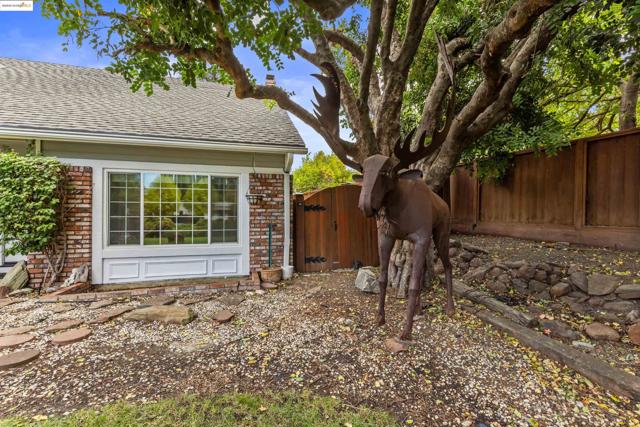 MOOSE SIGHTING ??