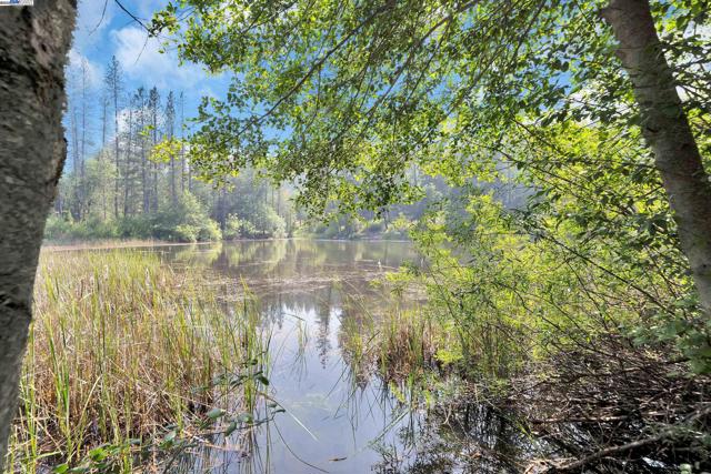 13567 Raccoon Mountain Rd, Grass Valley CA: https://media.crmls.org/mediaz/7b7b33de-4486-4d10-80ce-d4497ca45453.jpg