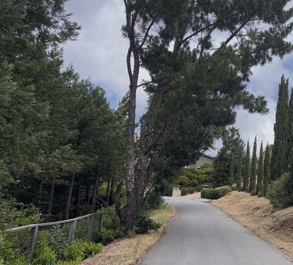 0 California Way, Redwood City CA: https://media.crmls.org/mediaz/7b83f7d5-8a17-4a1d-acdf-c0fc003d15ec.jpg