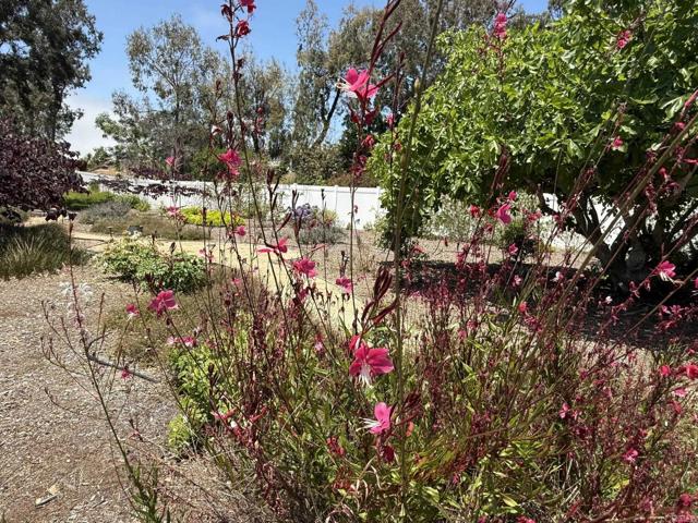 3923 San Pablo Avenue, Oceanside CA: https://media.crmls.org/mediaz/7b928517-2389-47cc-a24c-957e819c625f.jpg