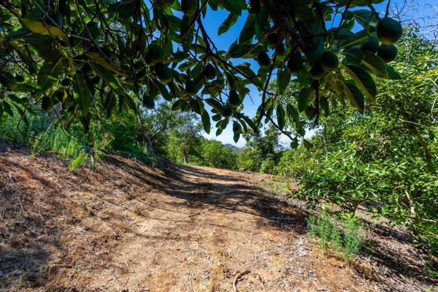 0 Wilt Road, Fallbrook CA: https://media.crmls.org/mediaz/7b9351e1-9db6-4eb1-9d8b-f0fc20374f05.jpg