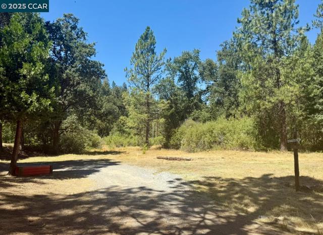 4578 Pretty Good Rd, Placerville CA: https://media.crmls.org/mediaz/7b965f20-3f6f-4b93-8c6e-8979ce1e662e.jpg