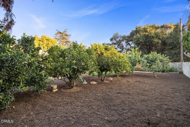 Detail Gallery Image 27 of 44 For 137 Avenida De La Entrada, Ojai,  CA 93023 - 2 Beds | 1 Baths