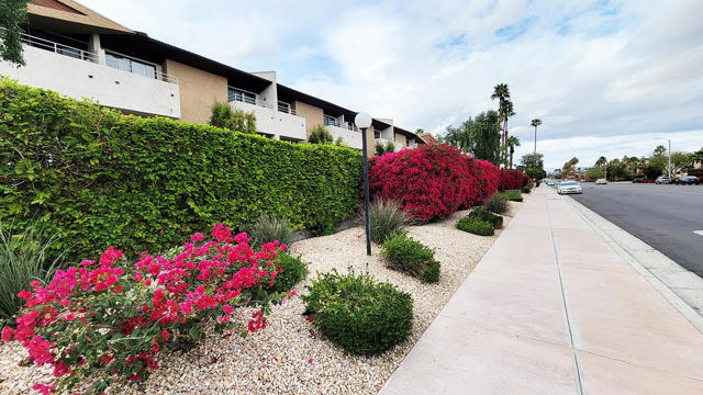 Image 37 of 46 For 467 Calle El Segundo  D20