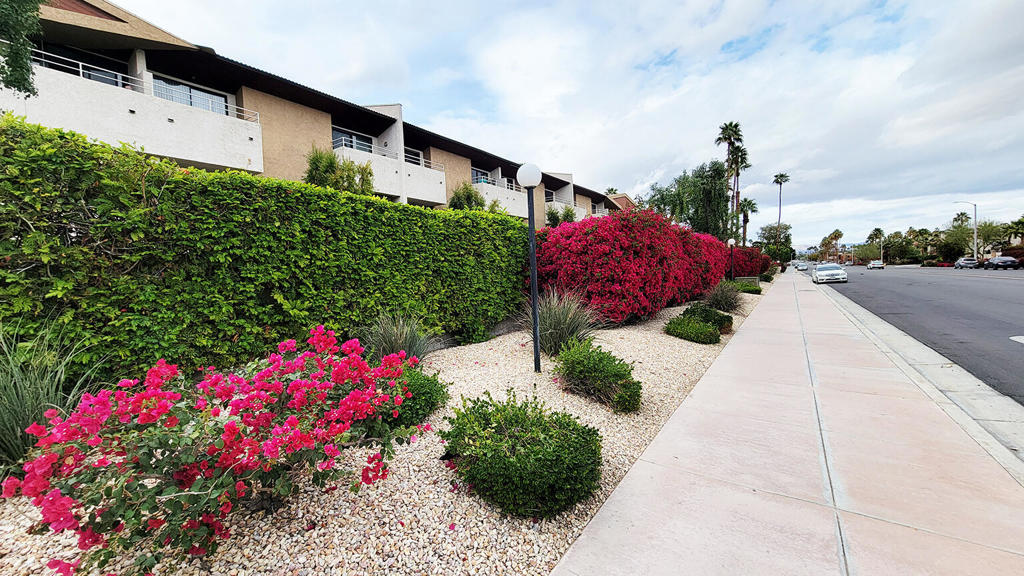 MLS #219136770DA image #37