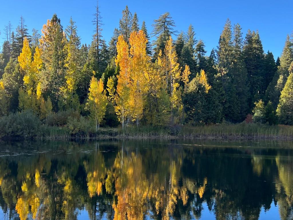 https://media.crmls.org/mediaz/7bb98b7b-10de-4a8a-99ea-62b6602df393.jpg?preset=X-Large