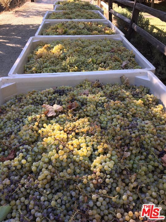 20799 Highway 128, Yorkville CA: https://media.crmls.org/mediaz/7bb9dabe-75b1-455b-aba7-7166273a6800.jpg