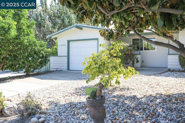 2465 Buena Vista Ave, Walnut Creek CA: https://media.crmls.org/mediaz/7bbdb16d-7fa0-4ff0-bcc6-cadcc07fa0e8.jpg