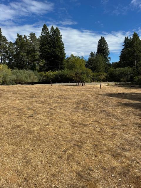 125 Mapache, Portola Valley CA: https://media.crmls.org/mediaz/7bce5661-166f-45fe-a6bc-10e74de5ed51.jpg