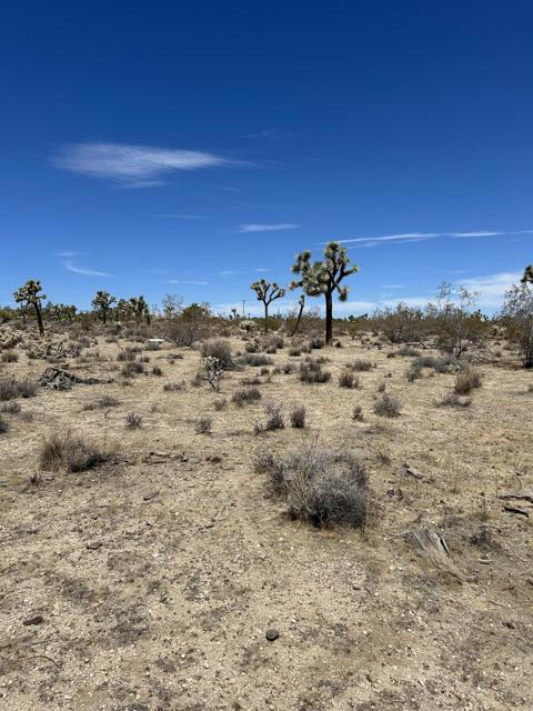 0 Sun Oro Road Road, Yucca Valley CA: https://media.crmls.org/mediaz/7bcf792a-62ba-4055-bfd6-06d1d334d9de.jpg
