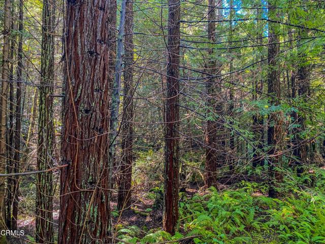 0 Irmulco Road, Willits CA: https://media.crmls.org/mediaz/7bd46c79-d91a-4bee-aeed-d1650a32f7cd.jpg