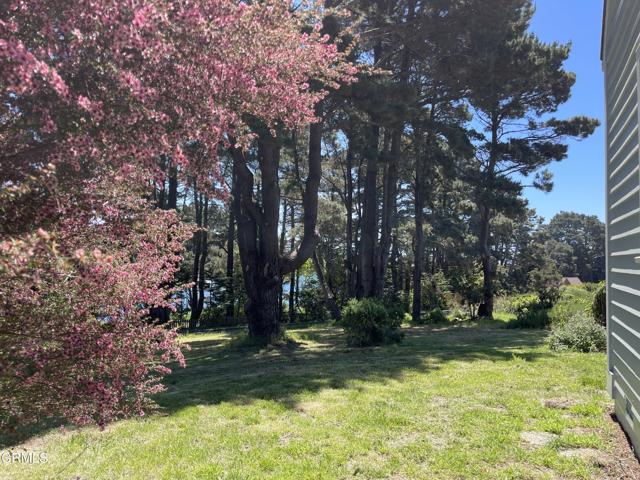 45300 Headlands Drive, Mendocino CA: https://media.crmls.org/mediaz/7bd4c40f-47af-4c1e-a741-0713d318d1ca.jpg