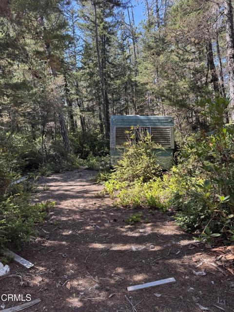 28270 Albion Ridge Road, Albion CA: https://media.crmls.org/mediaz/7bd63c49-36bf-4d66-b1f6-5ca5c92c13a1.jpg