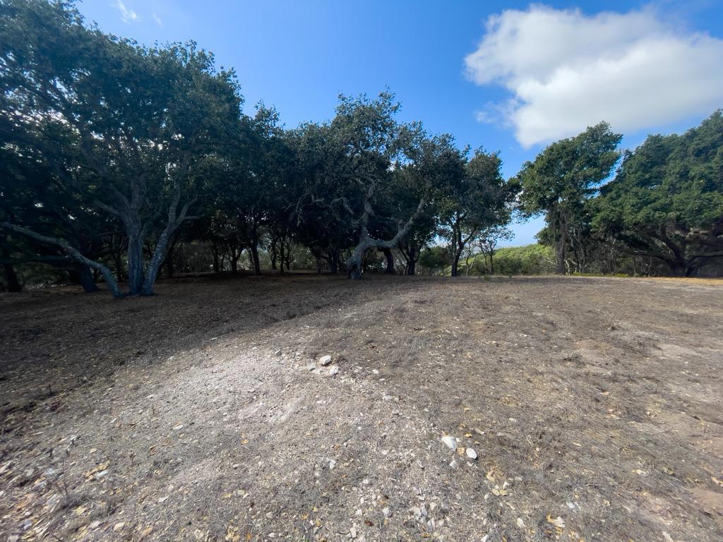 MLS #ML81990616 image #5