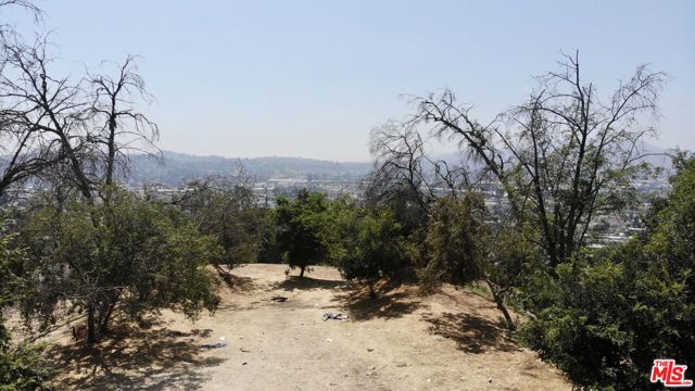 3566 N Paseo Drive, Los Angeles CA: https://media.crmls.org/mediaz/7bddfe5a-7893-4fb4-bc02-67c54fc013f3.jpg