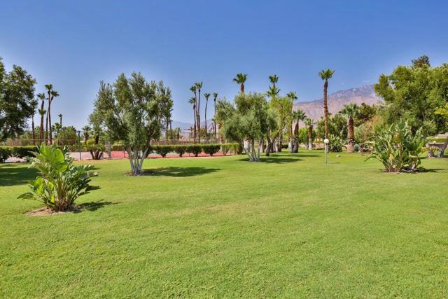 1181 Sunflower Lane, Palm Springs CA: https://media.crmls.org/mediaz/7bf1a9db-1fee-4337-9fa2-ce7ff78f3e02.jpg