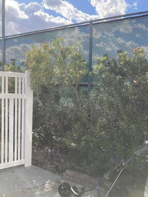 69411 Ramon Road, Cathedral City CA: https://media.crmls.org/mediaz/7c06d450-a944-4da1-8138-f1cb6bdc3f41.jpg