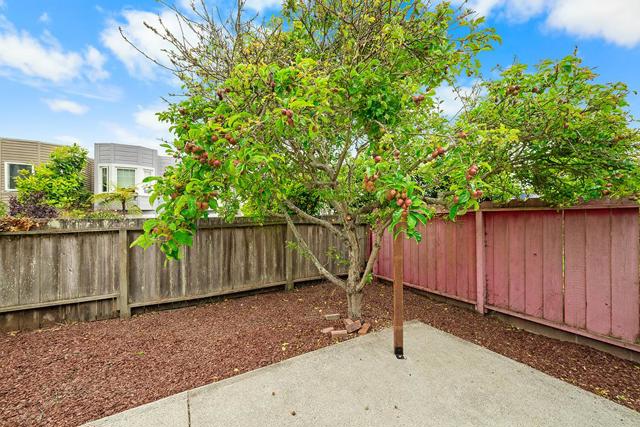 454 Ellington Avenue, San Francisco CA: https://media.crmls.org/mediaz/7c133b07-9afe-4df6-b5a1-f93552029bac.jpg