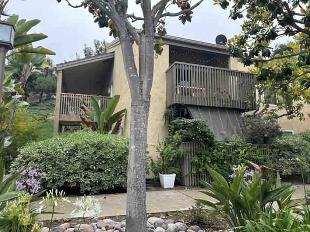 Details for 3128 Via Alicante  D, La Jolla, CA 92037