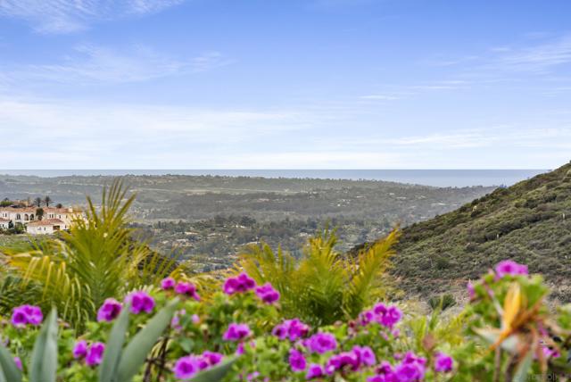 18233 Via Ambiente, Rancho Santa Fe CA: https://media.crmls.org/mediaz/7c19fc4d-e46c-4d10-b861-dc57096ff350.jpg