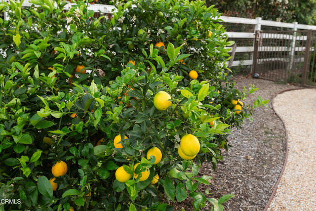 Detail Gallery Image 4 of 75 For 2296 Applewood Ln, Camarillo,  CA 93012 - 5 Beds | 4/1 Baths