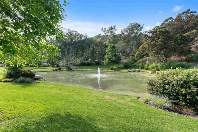 6635 Caminito Scioto, La Jolla CA: https://media.crmls.org/mediaz/7c1ec7f0-777f-45f9-8671-0b0a200f8429.jpg