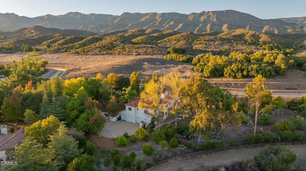 MLS #V1-33043 image #15