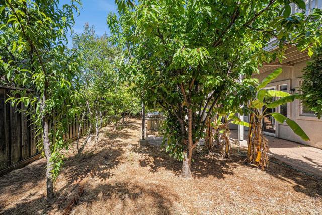 1964 Finger Peak Way, Antioch CA: https://media.crmls.org/mediaz/7c31d781-49e6-461f-bde2-a395f54385d1.jpg