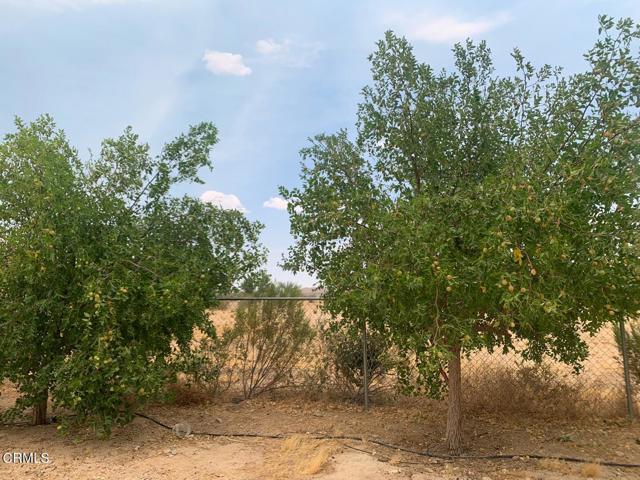 Detail Gallery Image 45 of 49 For 31212 Rabbit Springs Rd, Lucerne Valley,  CA 92356 - 3 Beds | 2 Baths