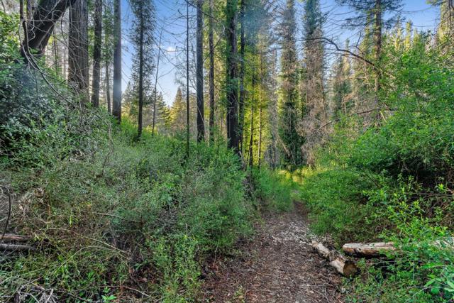 21200 Big Basin Way, Boulder Creek CA: https://media.crmls.org/mediaz/7c3a2d65-5278-4341-9a18-0ce2c19a0461.jpg