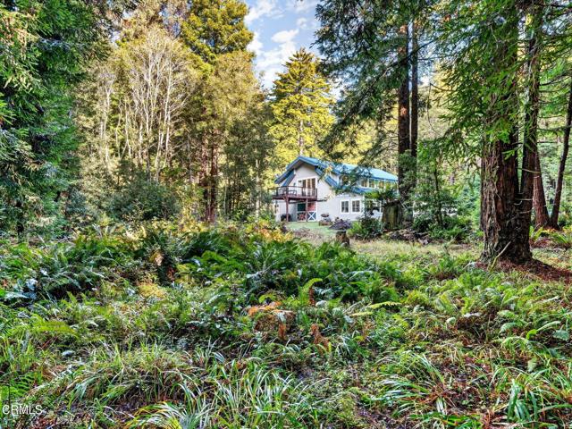 Detail Gallery Image 44 of 47 For 19400 Dorffi Rd, Fort Bragg,  CA 95437 - 3 Beds | 2/1 Baths