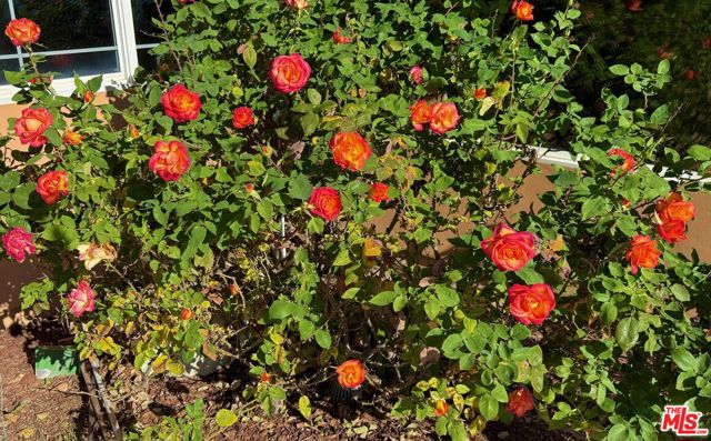 20776 Big Rock Drive, Malibu CA: https://media.crmls.org/mediaz/7c42cc1b-b241-4159-86f0-9a96fe5bd3fe.jpg