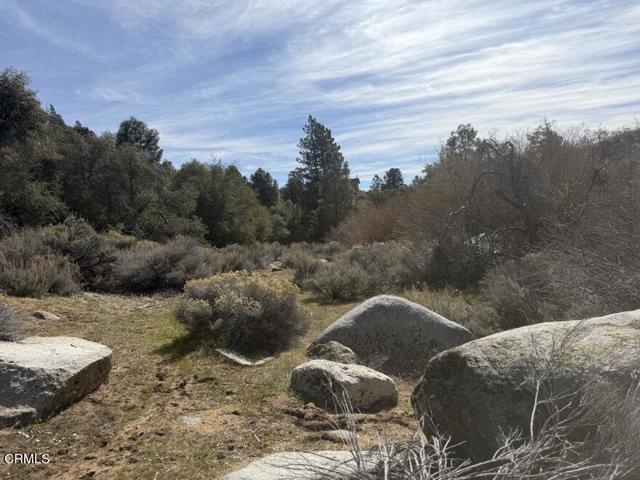 Detail Gallery Image 63 of 64 For 8275 Jawbone Canyon Rd, Weldon,  CA 93283 - 4 Beds | 0 Baths
