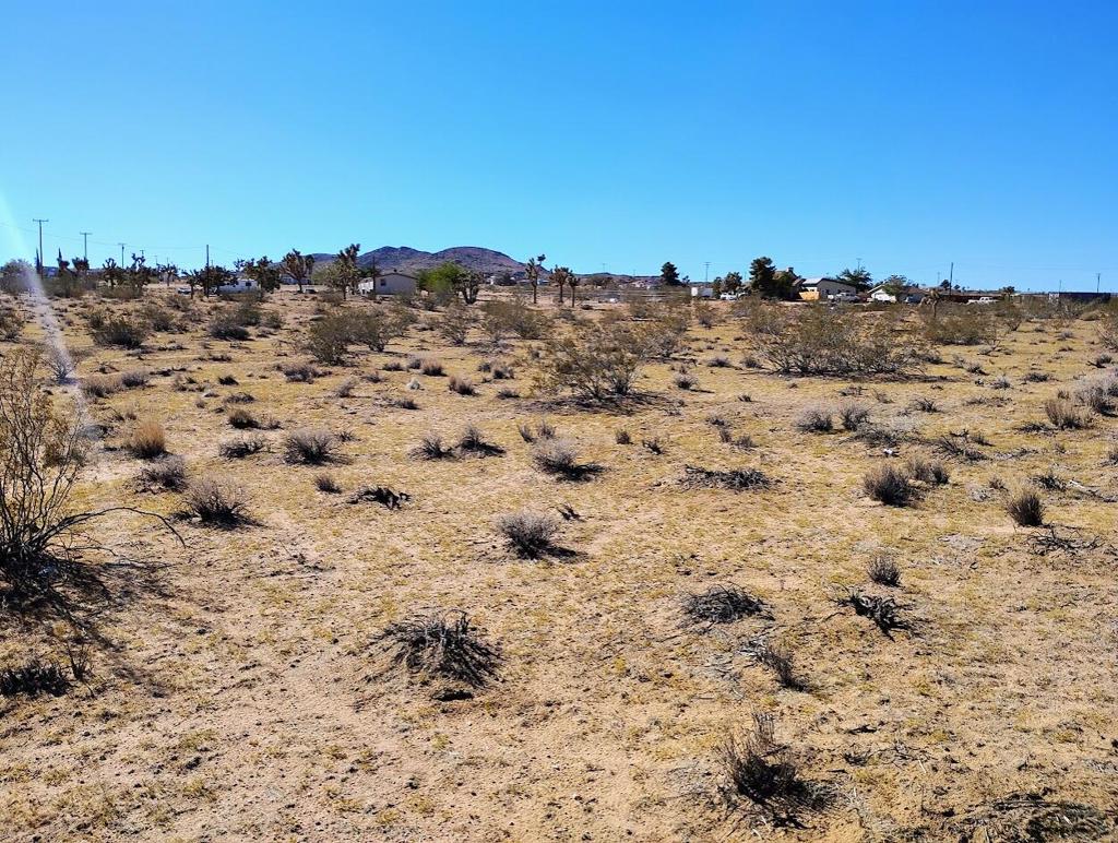 MLS #219138097DA image #9