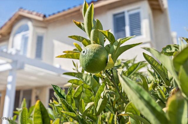 Detail Gallery Image 32 of 42 For 1920 Kapalua Dr, Oxnard,  CA 93036 - 4 Beds | 3 Baths