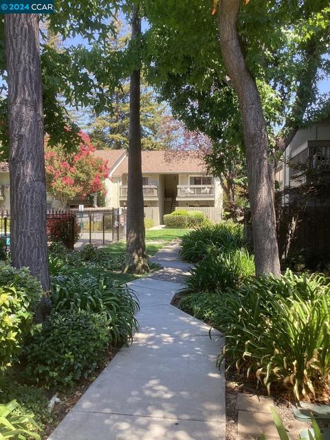 2560 WALNUT BLVD., Walnut Creek, California 94596, 1 Bedroom Bedrooms, ,1 BathroomBathrooms,Condominium,For Sale,WALNUT BLVD.,41068689