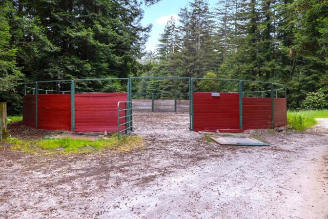 3675 Bonny Doon Road, Santa Cruz CA: https://media.crmls.org/mediaz/7c4cc35c-0c39-49df-8364-2157a092a95d.jpg