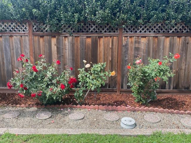 1408 Birch Avenue, San Mateo CA: https://media.crmls.org/mediaz/7c5d98fa-ffe6-4aaf-8914-466c4aed6562.jpg