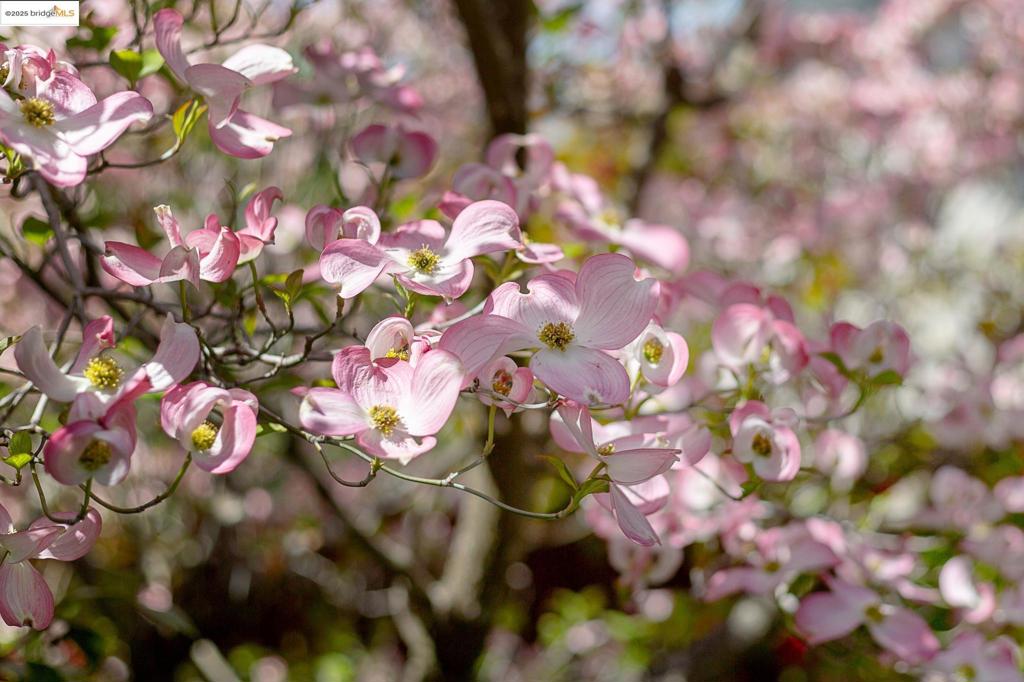 https://media.crmls.org/mediaz/7c652e9c-61d6-40ca-ac8d-6c967180ac17.jpg?preset=X-Large