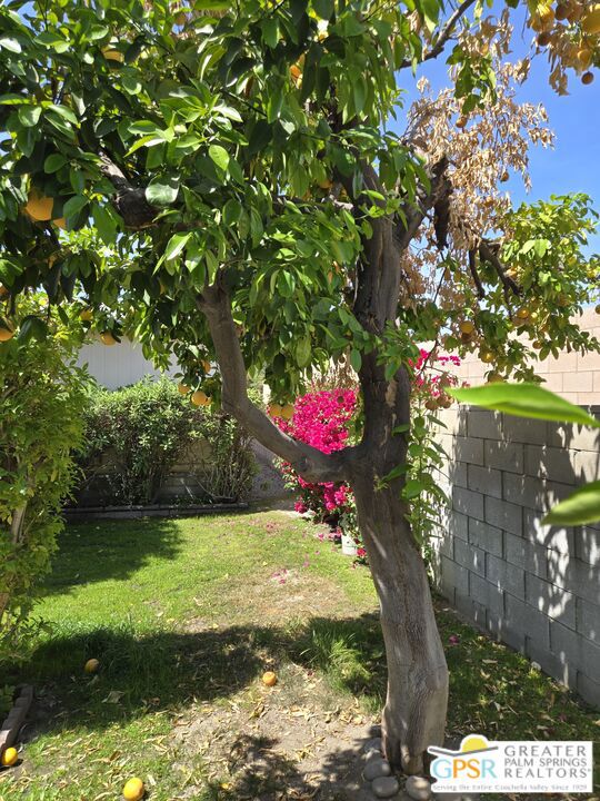 1067 Via Grande, Cathedral City CA: https://media.crmls.org/mediaz/7c6fd1a8-82f3-43b4-91ba-5cb4f9fb5525.jpg