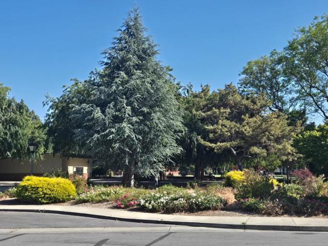 621 Harrow Way, Sunnyvale CA: https://media.crmls.org/mediaz/7c73ad72-683c-4b08-bc5c-4b45adffa0bb.jpg