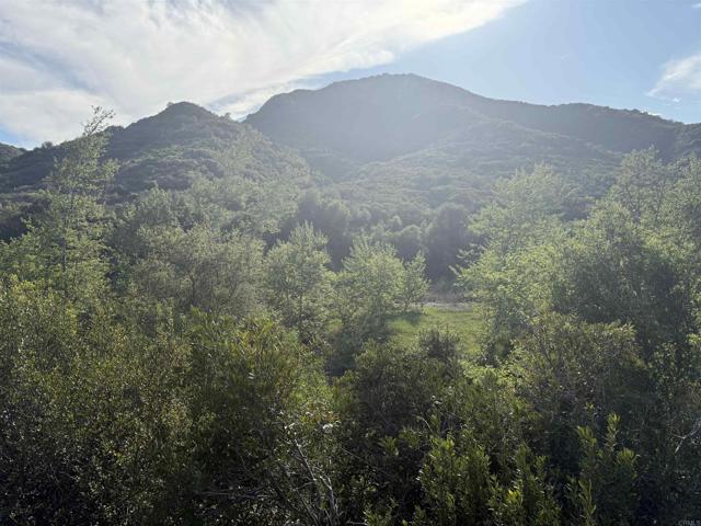 Detail Gallery Image 1 of 1 For 0 De Luz Rd, Fallbrook,  CA 92028 - – Beds | – Baths