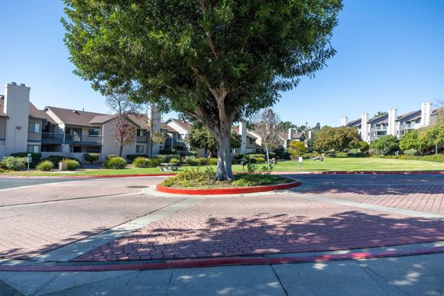 Detail Gallery Image 23 of 26 For 2910 Elm Tree Ct, Spring Valley,  CA 91978 - 2 Beds | 2 Baths