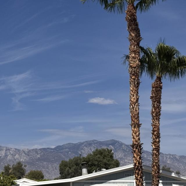 39880 Palm Greens Parkway, Palm Desert CA: https://media.crmls.org/mediaz/7caaf0bd-1d42-4342-99e9-e19516288678.jpg