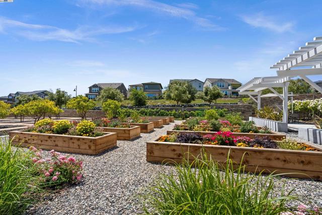 4440 Pine Mountain Way, Dublin CA: https://media.crmls.org/mediaz/7cb4c789-81e9-4b5d-96eb-12512c41730b.jpg