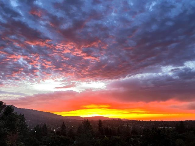 Image 77 of 85 For 100 Hollywood Avenue