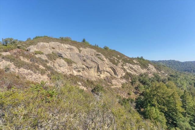 0 Whalebone Gulch, Boulder Creek CA: https://media.crmls.org/mediaz/7cc0e0fc-2c73-4f1a-8f33-4b3fe218c94e.jpg