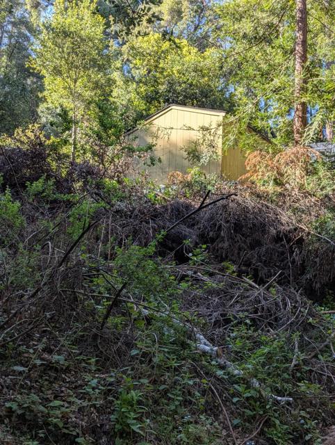 11259 Fresco Street, Felton CA: https://media.crmls.org/mediaz/7cc55b7c-da50-4036-8c4b-b7dd5770f6a5.jpg
