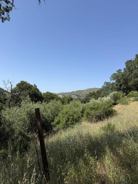 10900 Watsonville Road, Gilroy CA: https://media.crmls.org/mediaz/7cc6a19d-9cc0-436f-9866-e0a998f7aeae.jpg