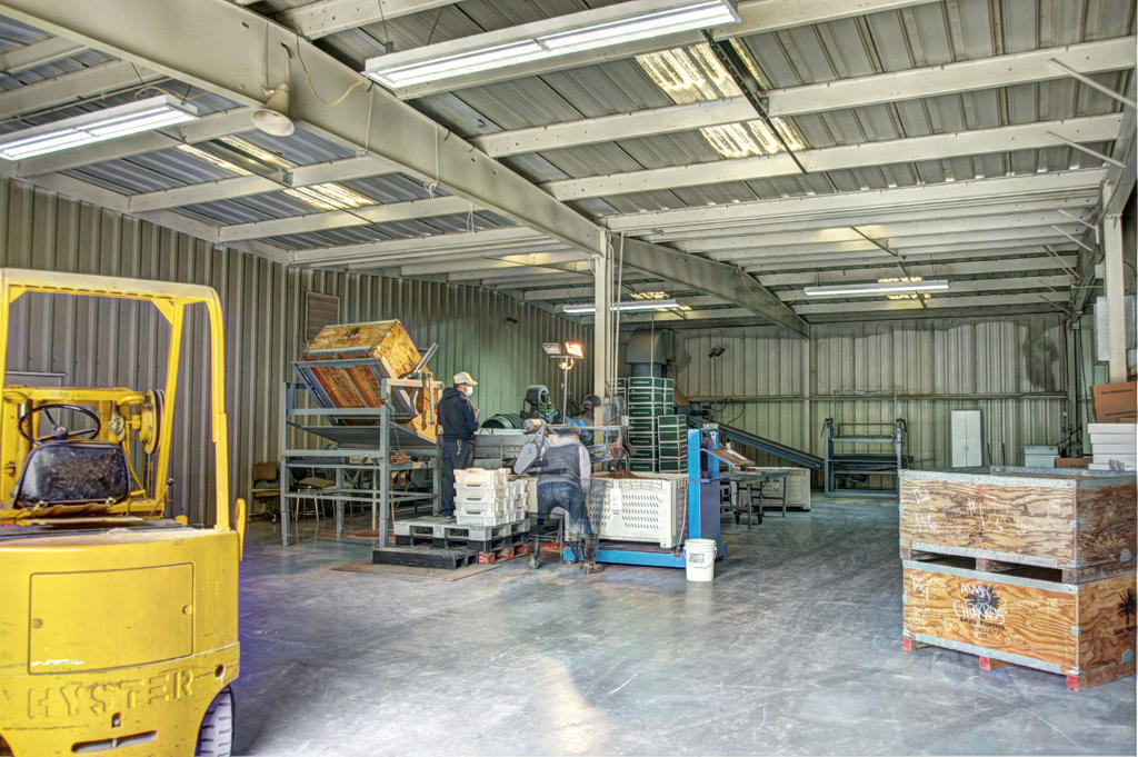 MLS #219136900DA image #13